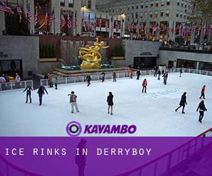 Ice Rinks in Derryboy