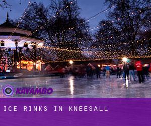 Ice Rinks in Kneesall