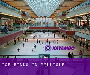 Ice Rinks in Millisle