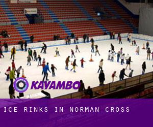 Ice Rinks in Norman Cross