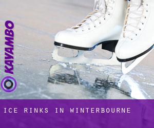 Ice Rinks in Winterbourne