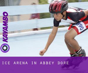 Ice Arena in Abbey Dore