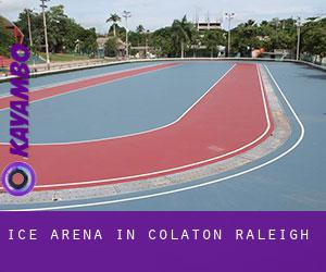 Ice Arena in Colaton Raleigh