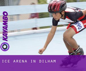 Ice Arena in Dilham