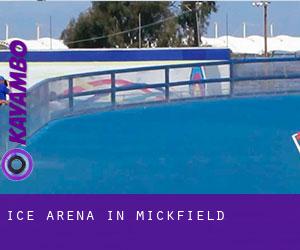 Ice Arena in Mickfield