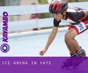 Ice Arena in Yate