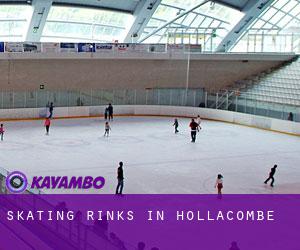 Skating Rinks in Hollacombe