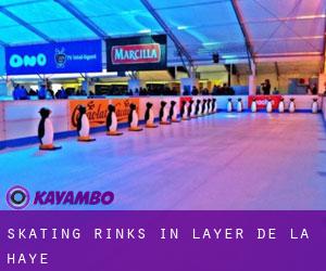 Skating Rinks in Layer de la Haye