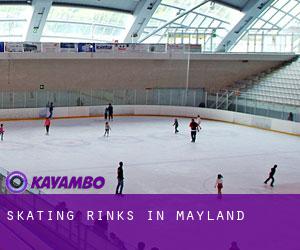 Skating Rinks in Mayland
