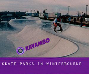 Skate Parks in Winterbourne