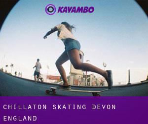 Chillaton skating (Devon, England)