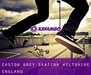 Easton Grey skating (Wiltshire, England)